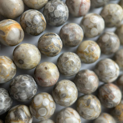Oolite Polished  Round Beads image 6