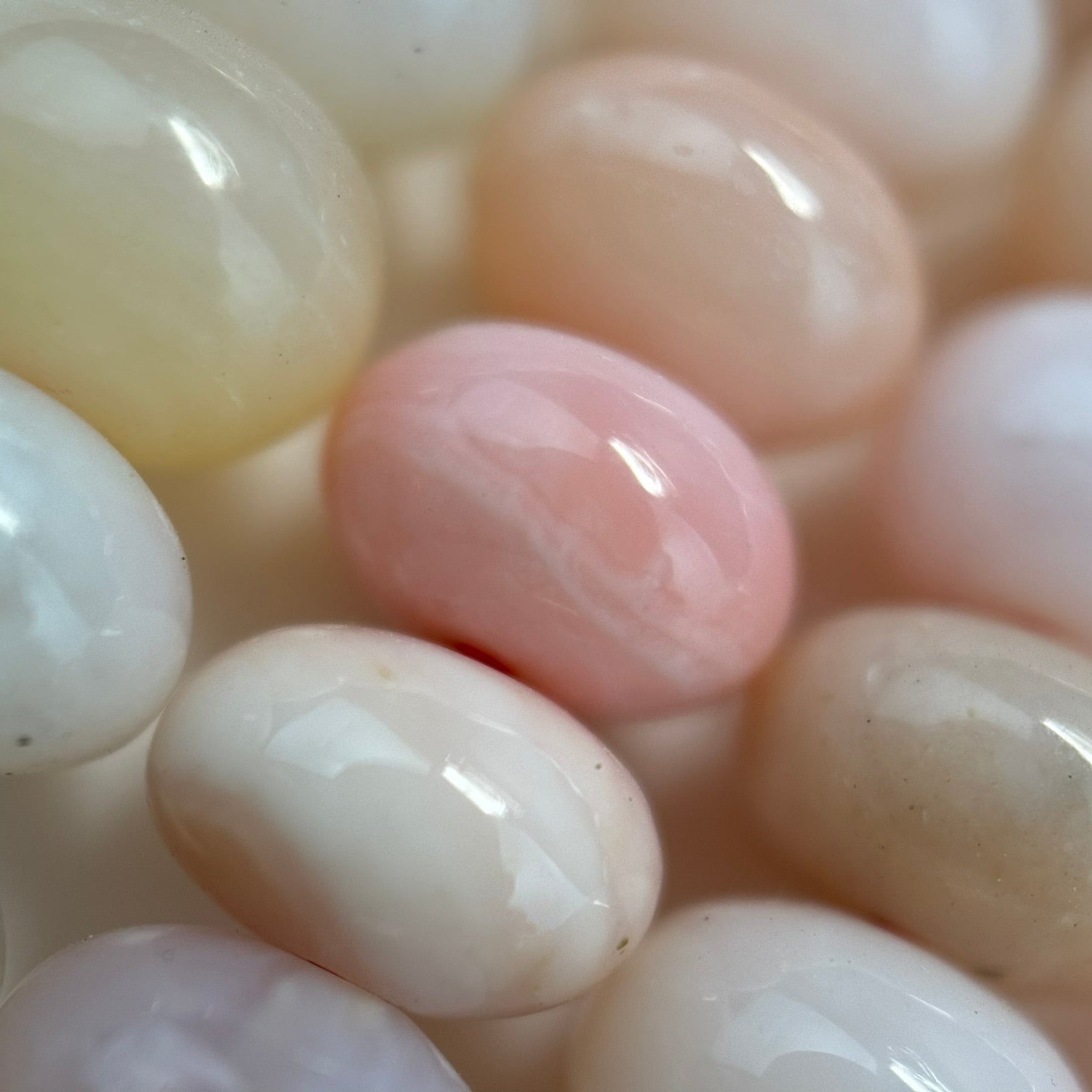 Pink Opal AAA Rondelle Polished Beads image 6