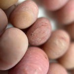 Rhodonite Rondelle Beads image 1