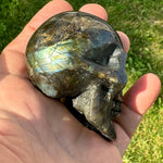 Labradorite Skull Carving (3 x 2.5 inches) image 4