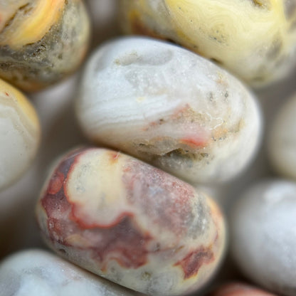 Golden Crazy Lace Agate Frosted Rondelle Beads image 3