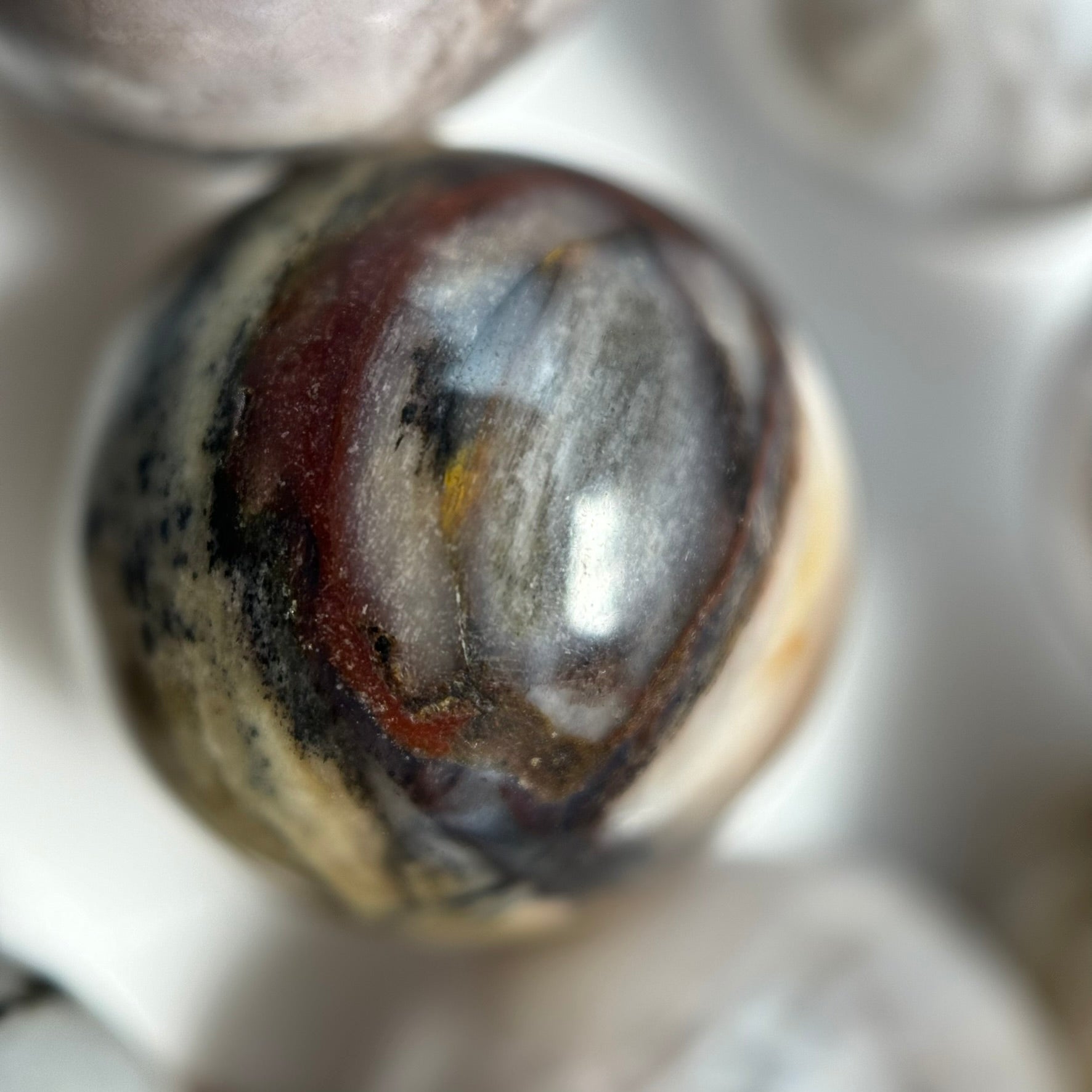 White Petrified Wood Polished Round Beads image 4