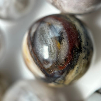 White Petrified Wood Polished Round Beads image 4