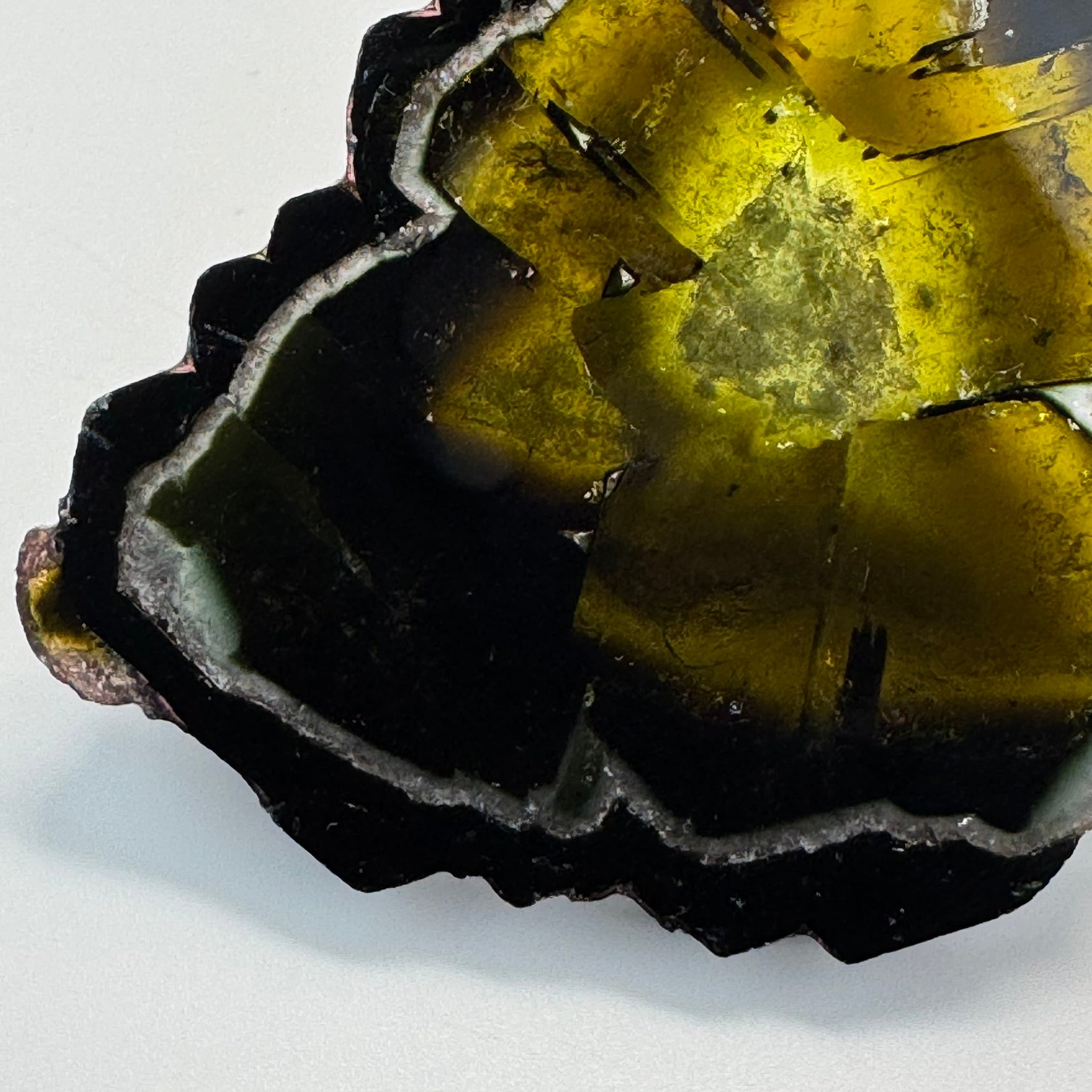 Watermelon Tourmaline (217 CT) image 3
