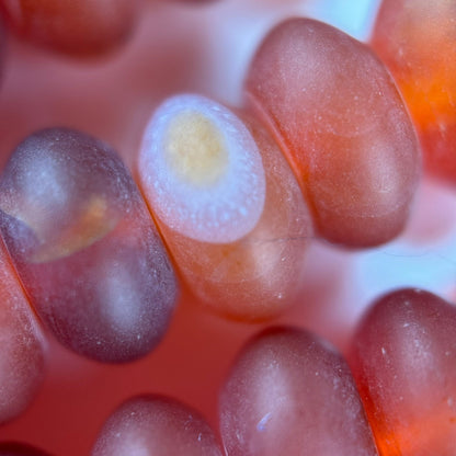 Carnelian Frosted Rondelle Beads image 7