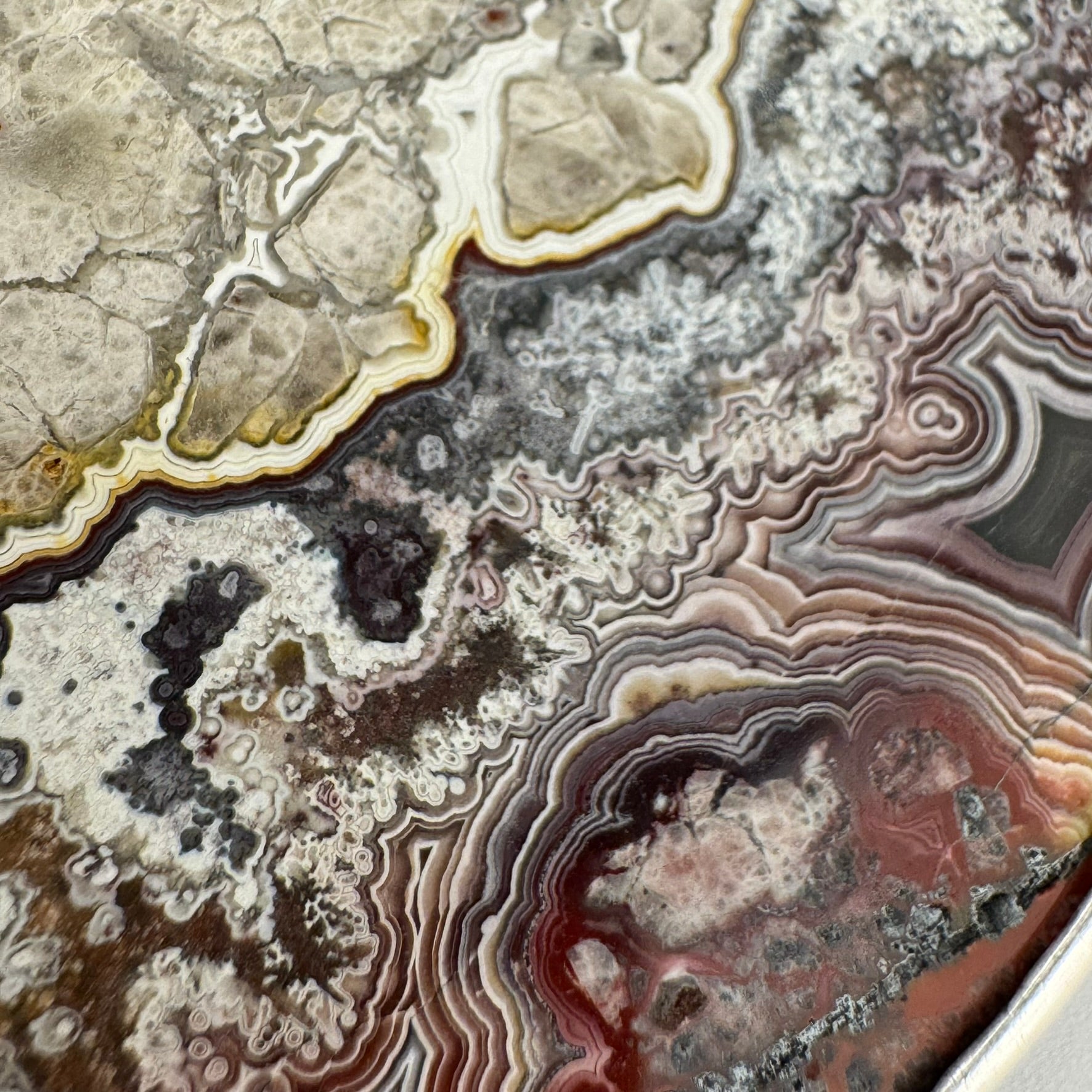Double-Sided Mexican Crazy Lace Agate 925 Sterling Silver Pendant image 5