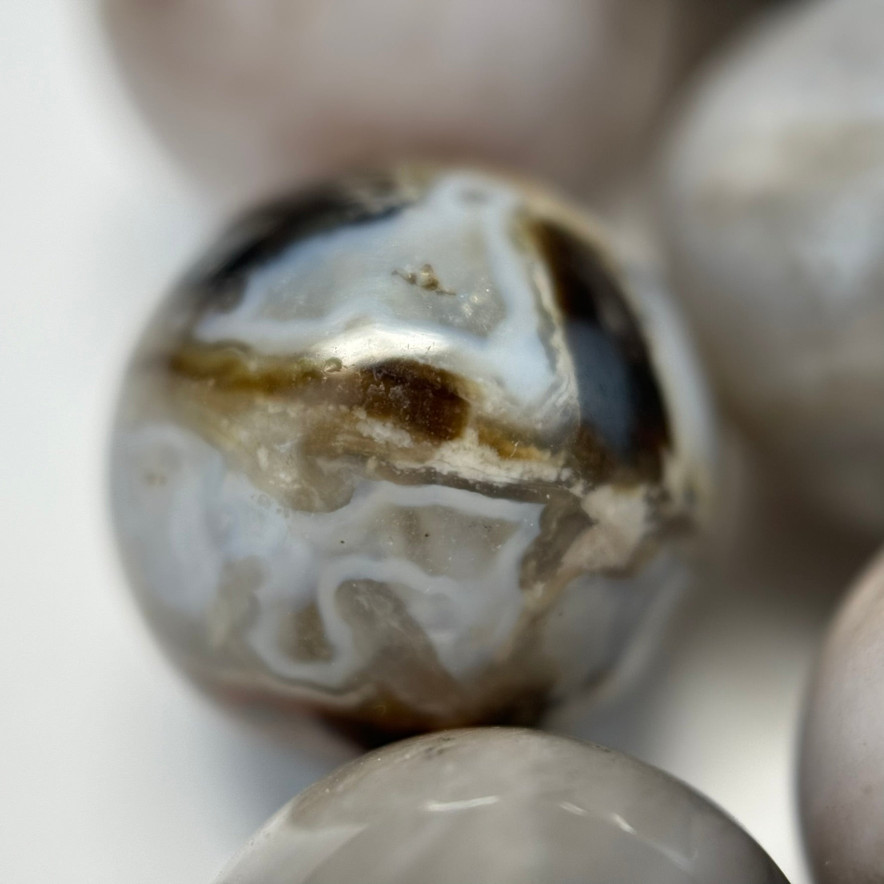 White Petrified Wood Polished Round Beads image 8