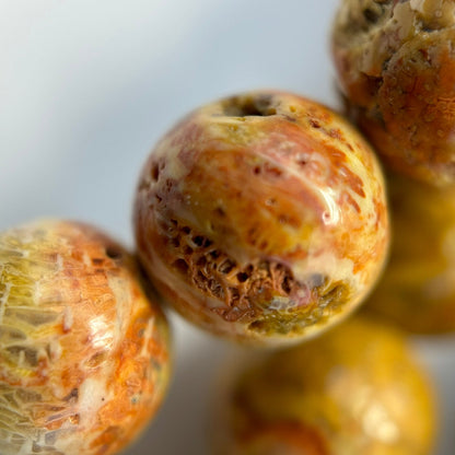 Fossilized Coral Polished Roudn Beads image 2
