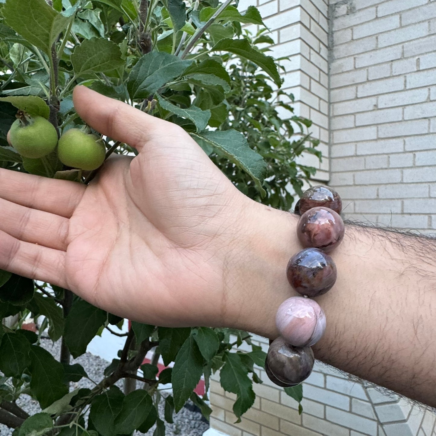 Bracelet: Petrified Wood Bracelet