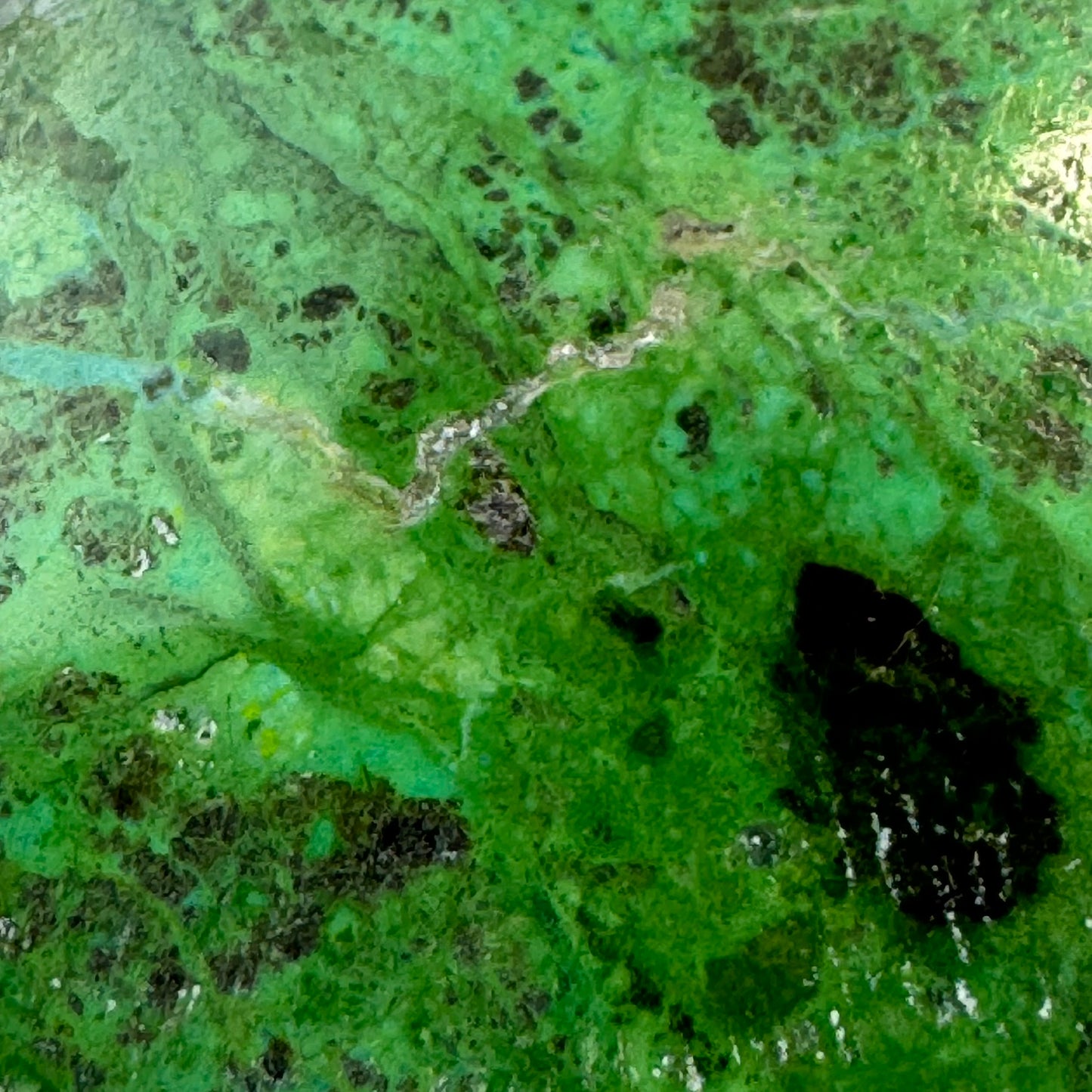 Polished Parrot Wing Jasper – Natural Double-Sided Gem for Jewelry Making