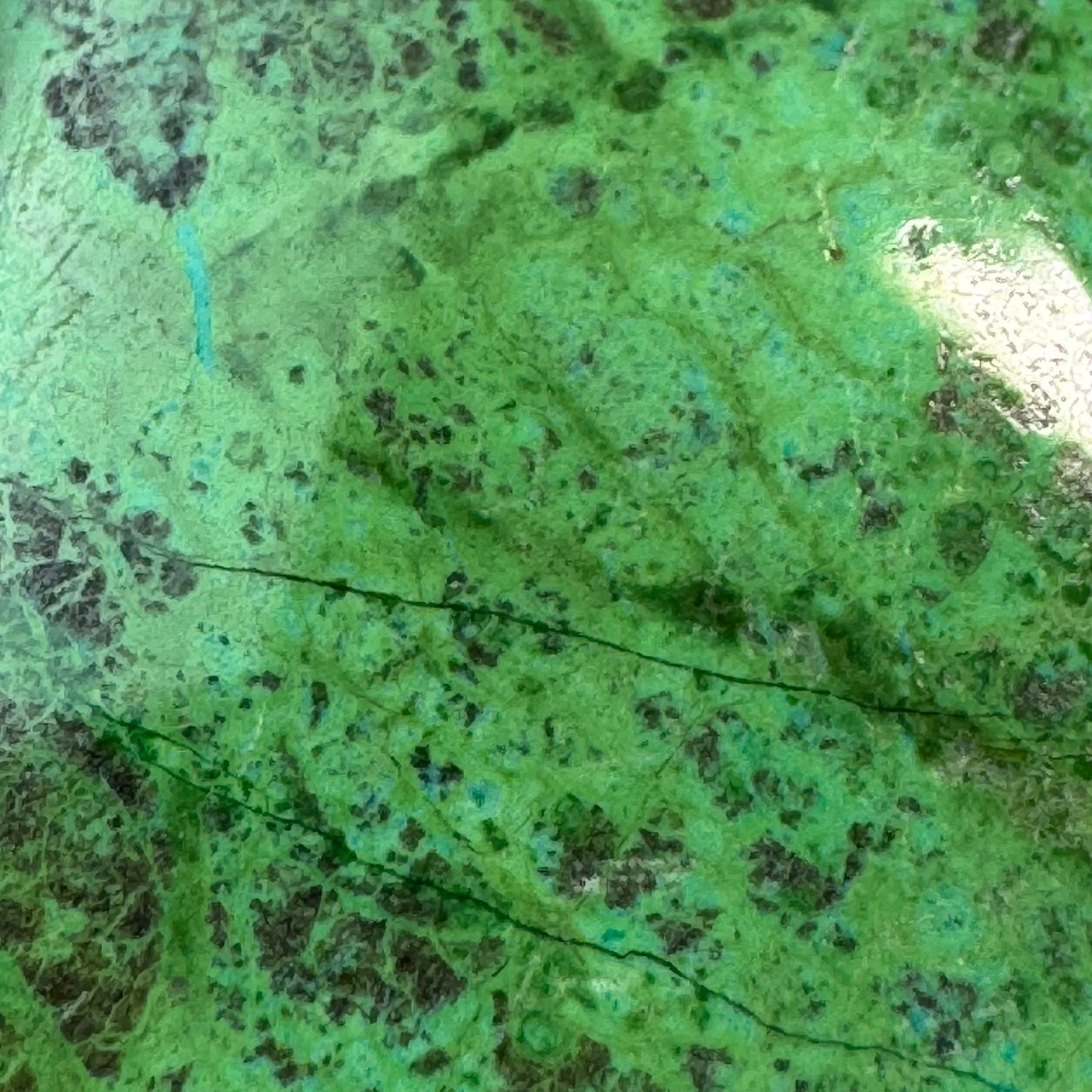 Polished Parrot Wing Jasper – Natural Double-Sided Gem for Jewelry Making