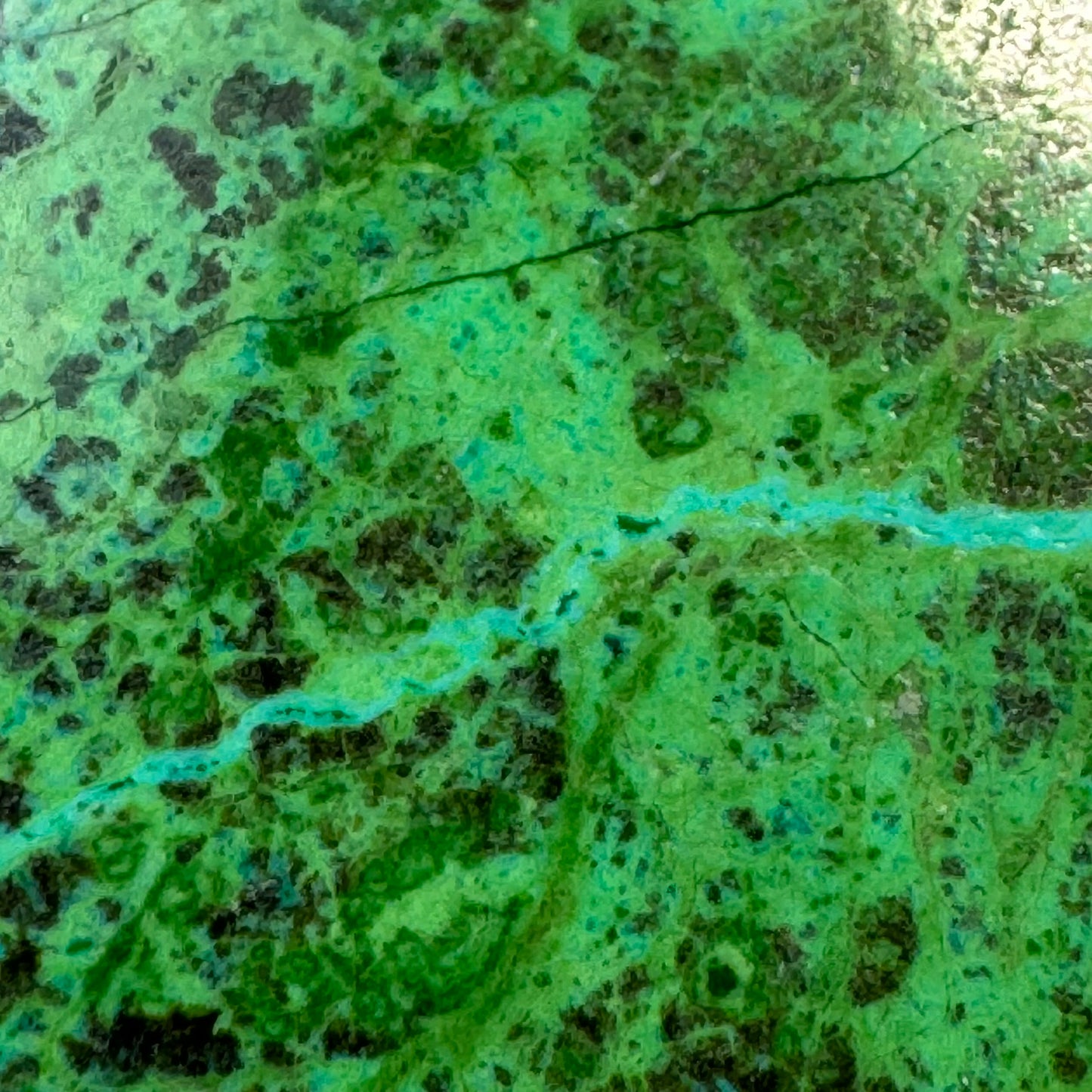 Polished Parrot Wing Jasper – Natural Double-Sided Gem for Jewelry Making