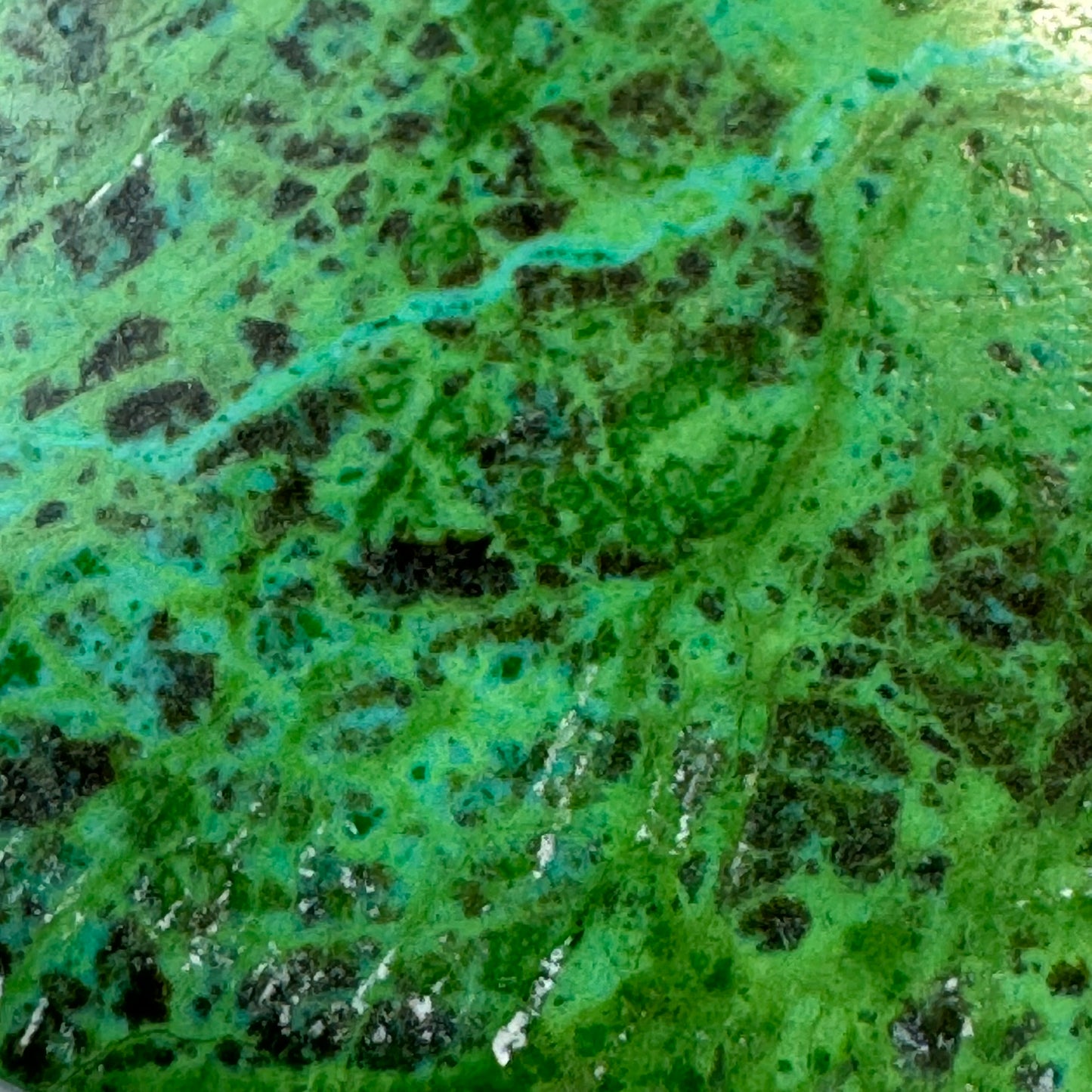 Polished Parrot Wing Jasper – Natural Double-Sided Gem for Jewelry Making