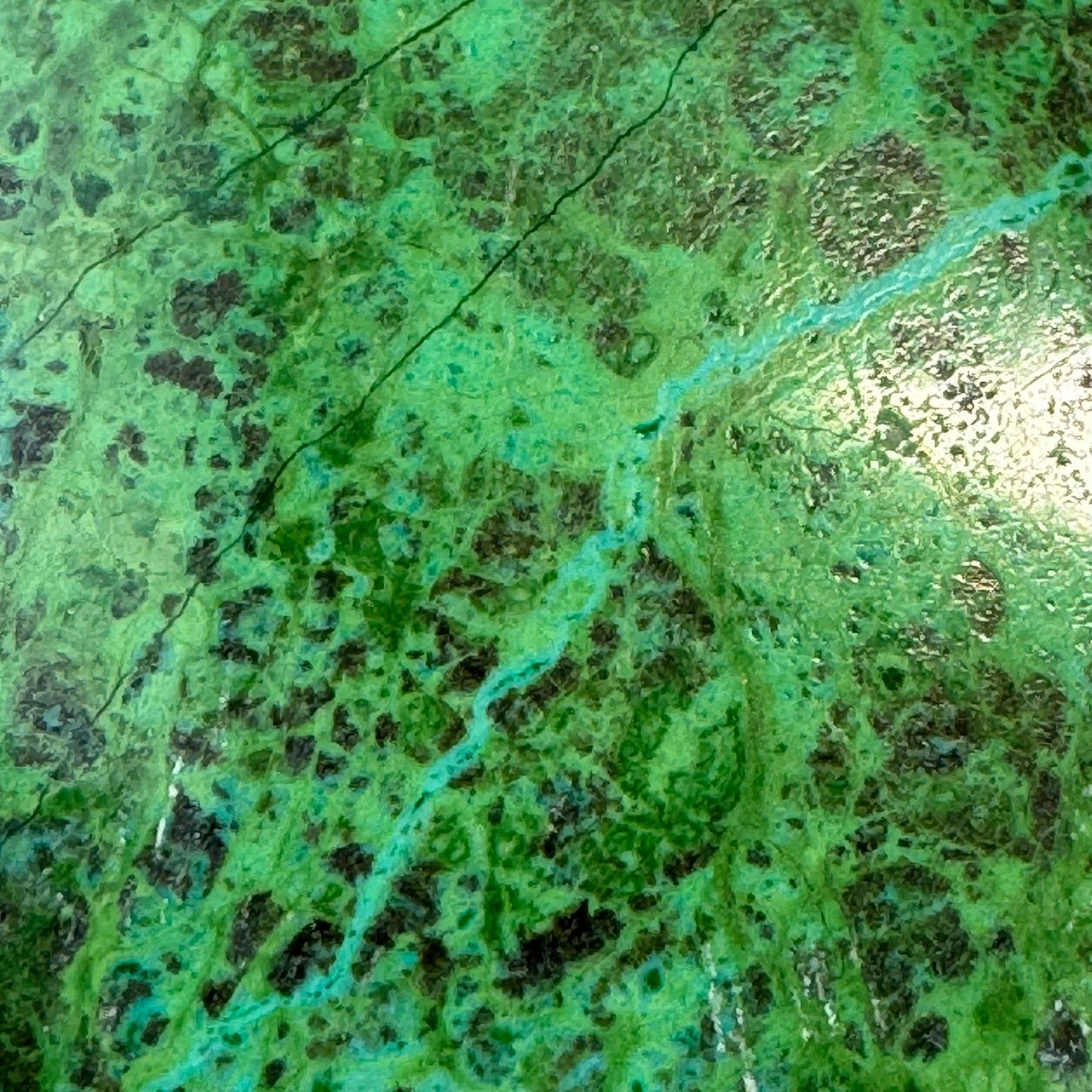 Polished Parrot Wing Jasper – Natural Double-Sided Gem for Jewelry Making