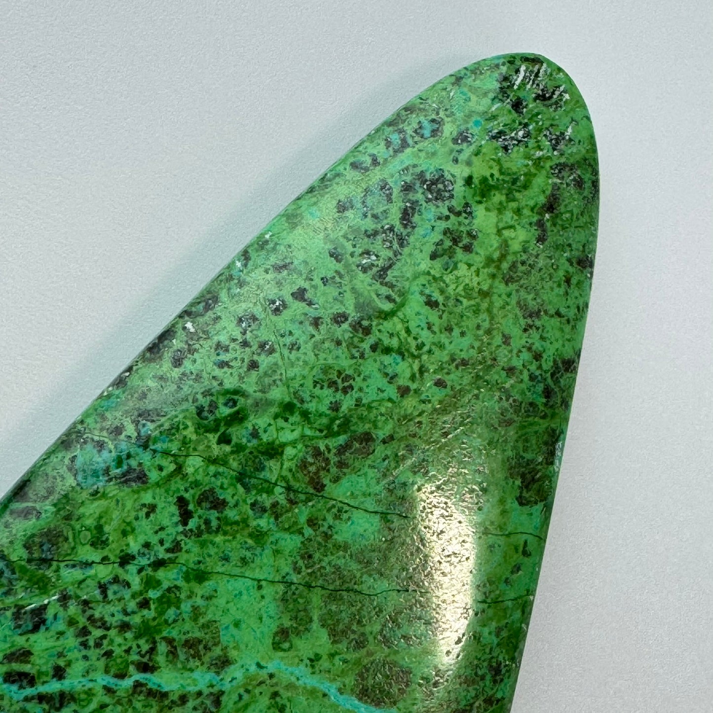 Polished Parrot Wing Jasper – Natural Double-Sided Gem for Jewelry Making