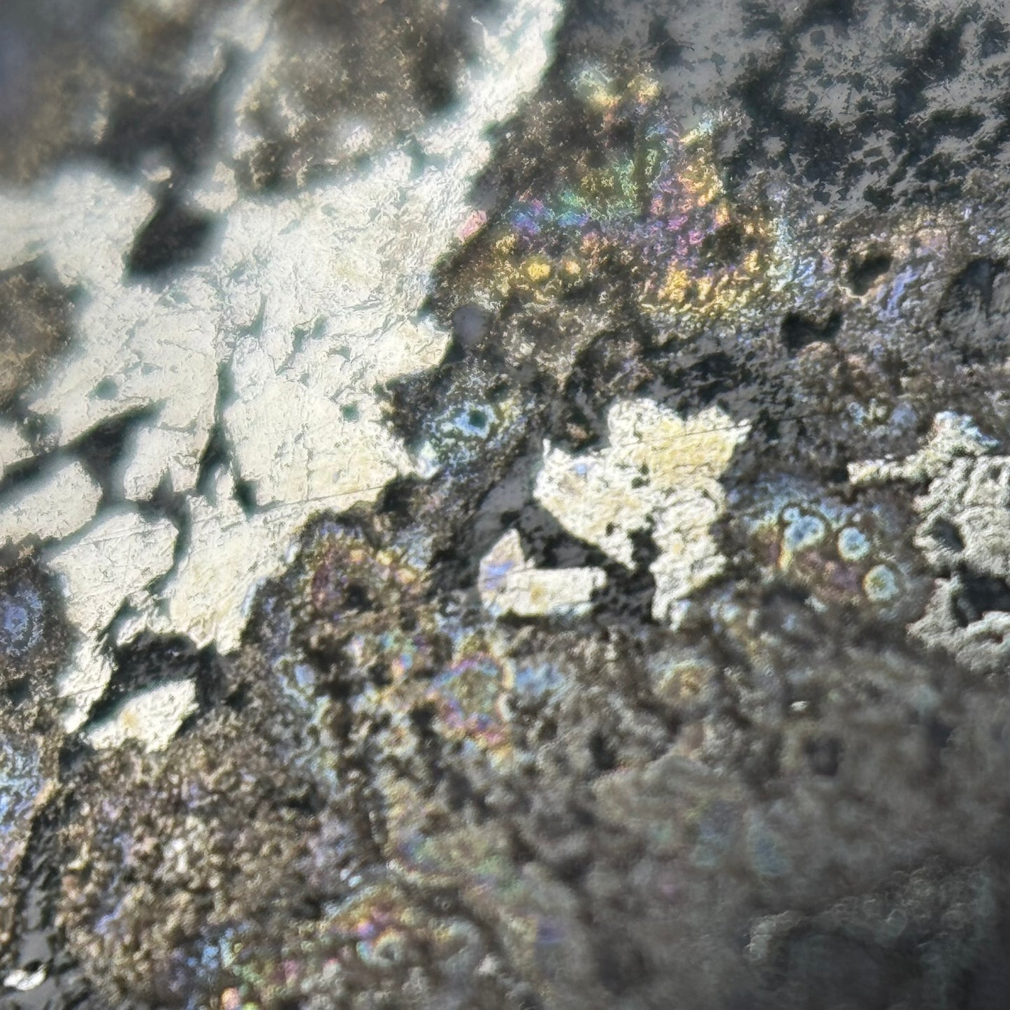 Natural Silver Cabochon – Double-Sided Polished from Cobalt, Ontario