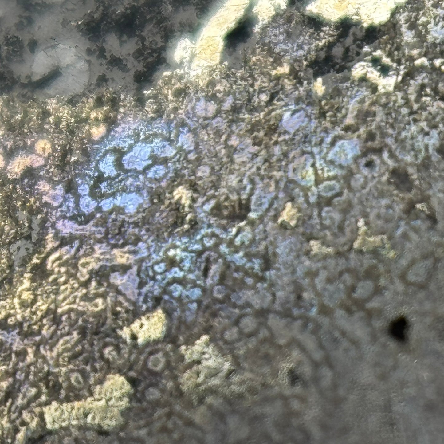 Natural Silver Cabochon – Double-Sided Polished from Cobalt, Ontario