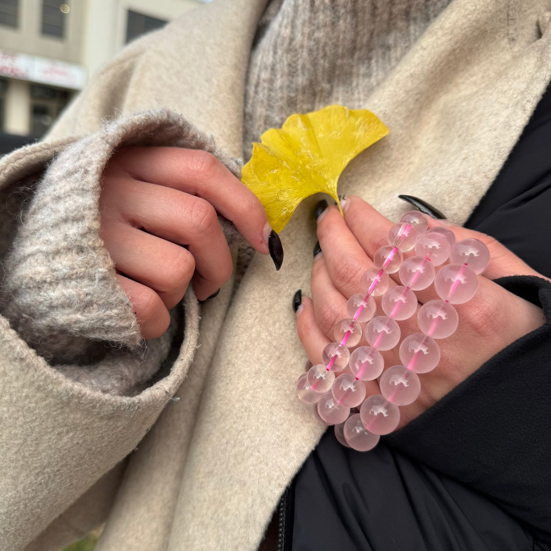 Star Rose Quartz Bracelet – Natural Gemstone Jewelry for Love & Healing (AAA Quality)