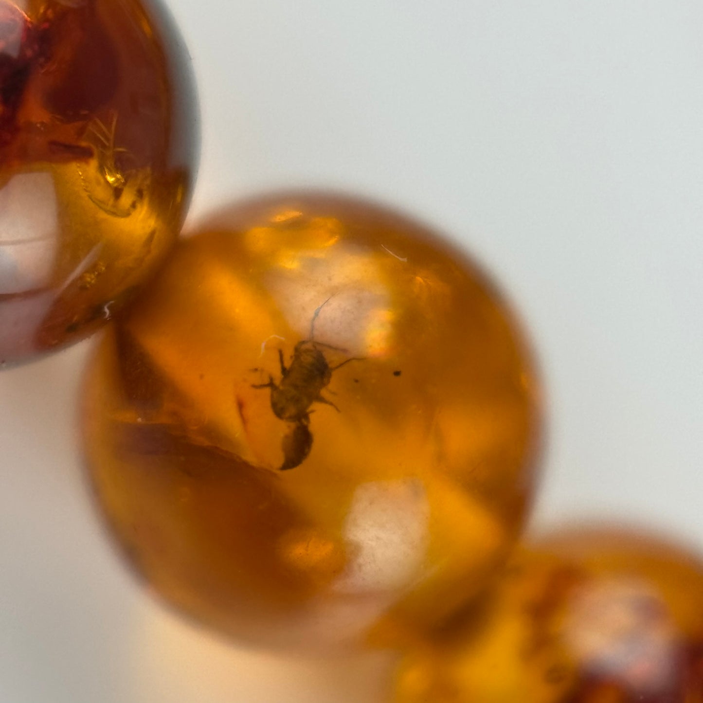 Amber Rosary Polished Round Beads (AAA Quality)