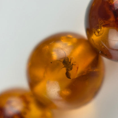 Amber Rosary Polished Round Gemstone Beads - (AAA Quality)