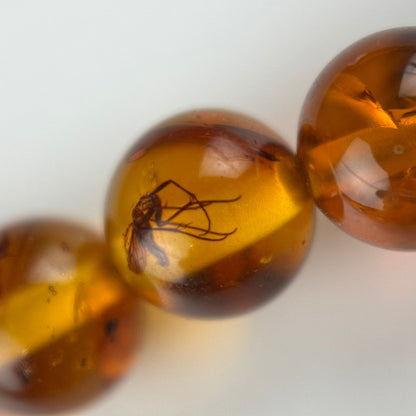 Amber Rosary Polished Round Gemstone Beads - (AAA Quality)