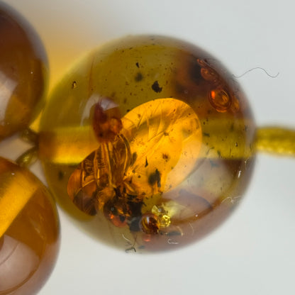 Amber Rosary Polished Round Gemstone Beads - (AAA Quality)