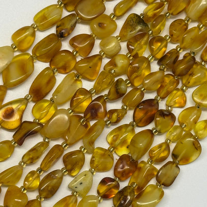 Amber Butterscotch Freeform Gemstone Beads - (AA Quality)