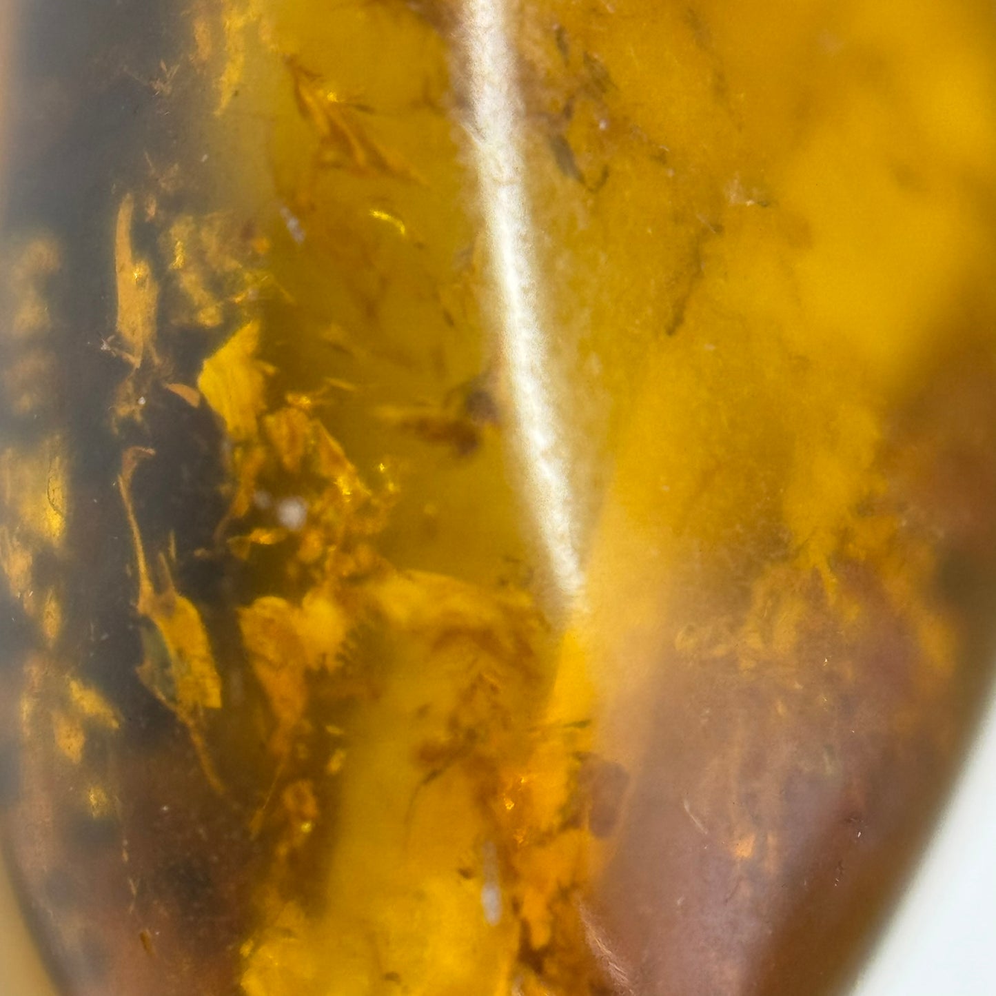 Amber Butterscotch Freeform Beads (AA Quality)