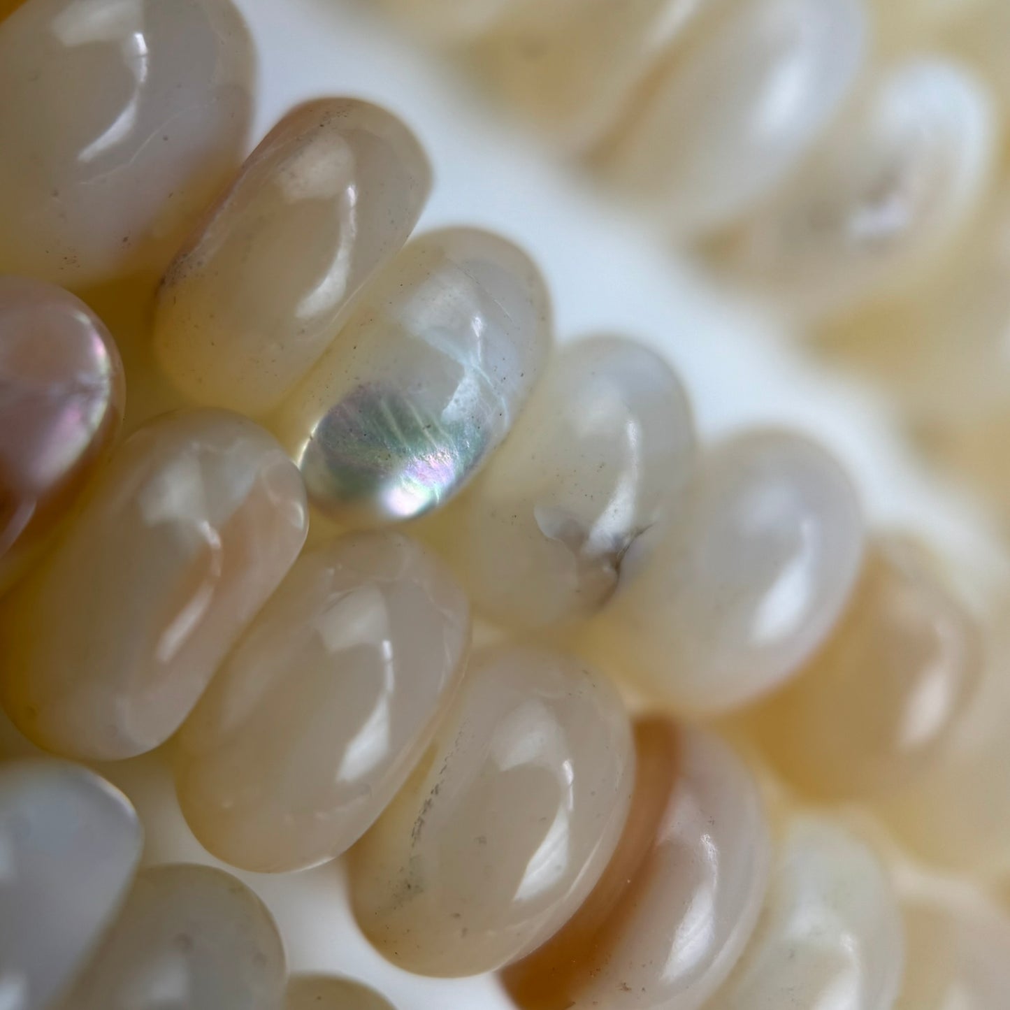Cream Beige Mother Of Pearl Polished Rondelle Beads