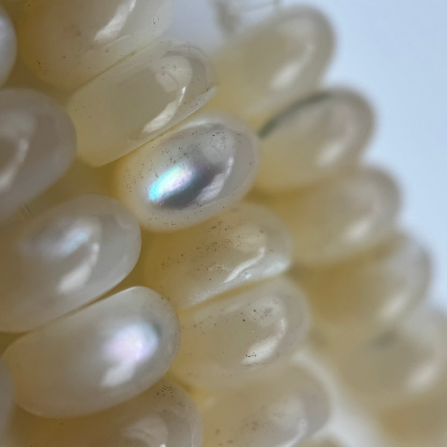 Cream Beige Mother Of Pearl Polished Rondelle Beads