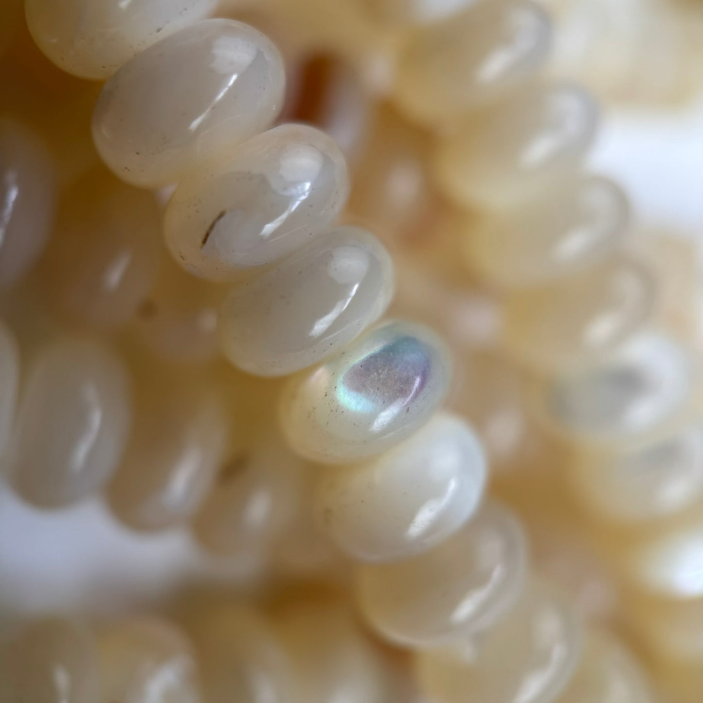 Cream Beige Mother Of Pearl Polished Rondelle Beads
