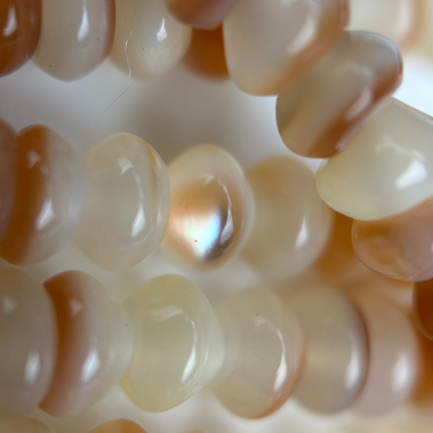 Cream Beige Mother Of Pearl Polished Rondelle Beads