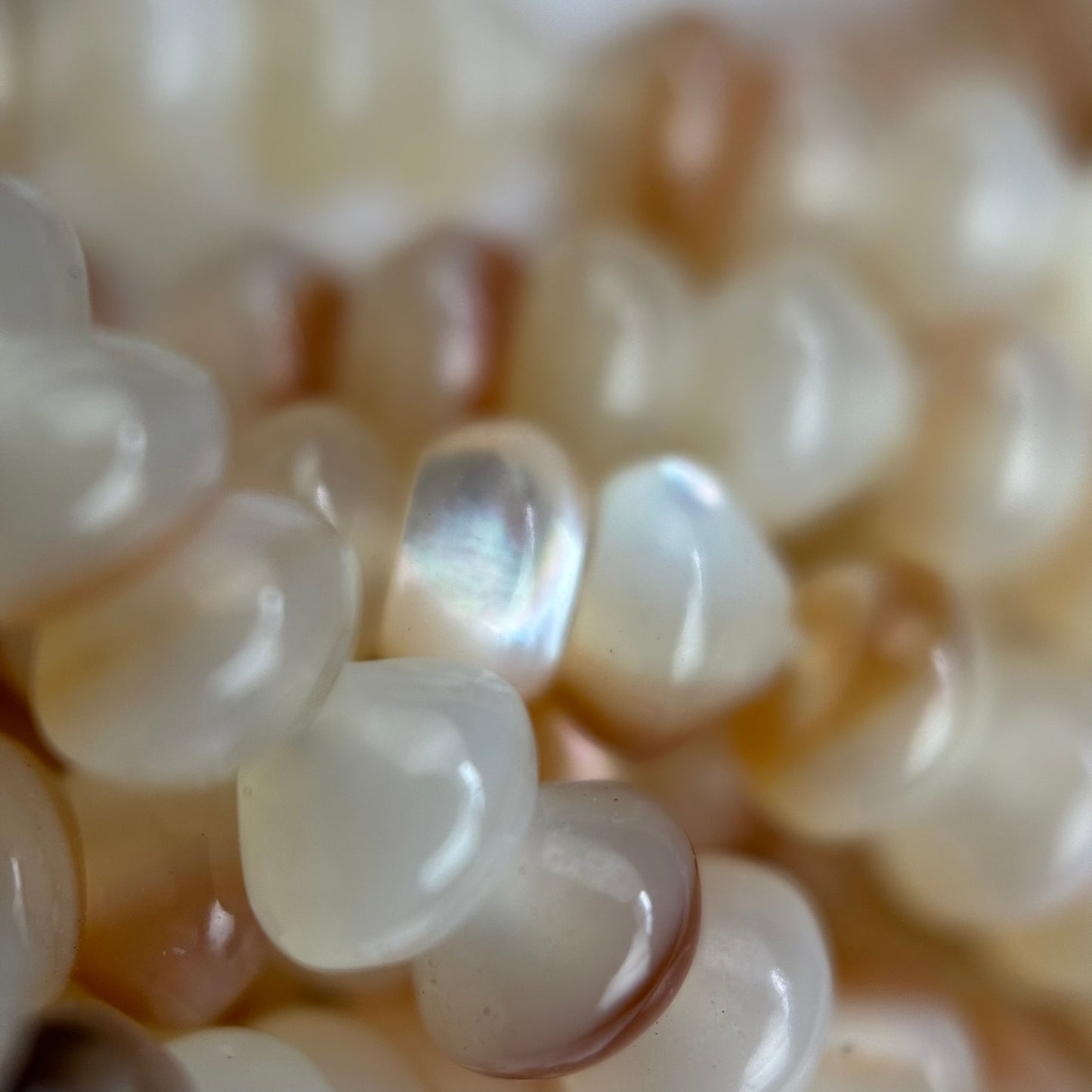 Cream Beige Mother Of Pearl Polished Rondelle Beads
