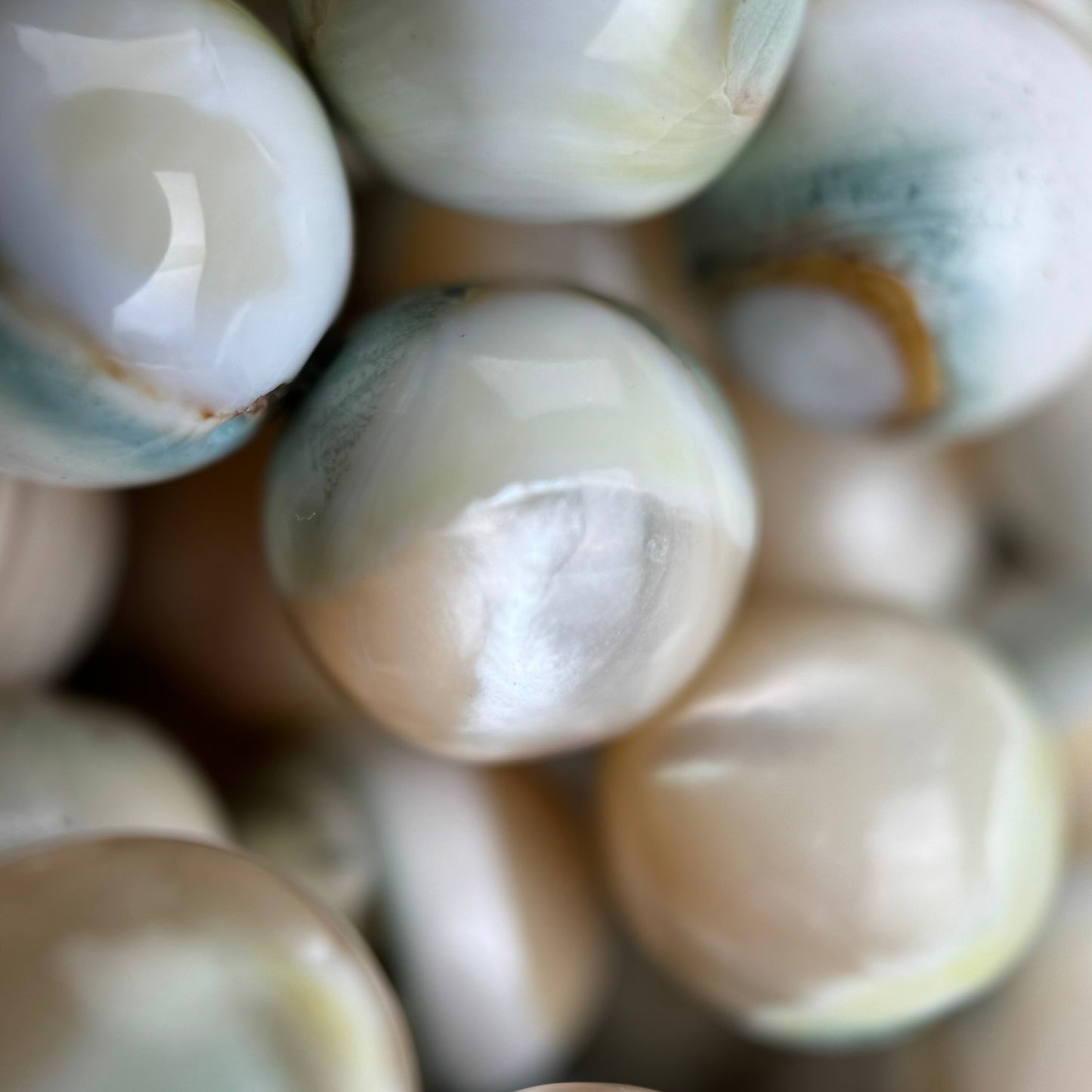 Green Shell Mother Of Pearl Polished Round Beads