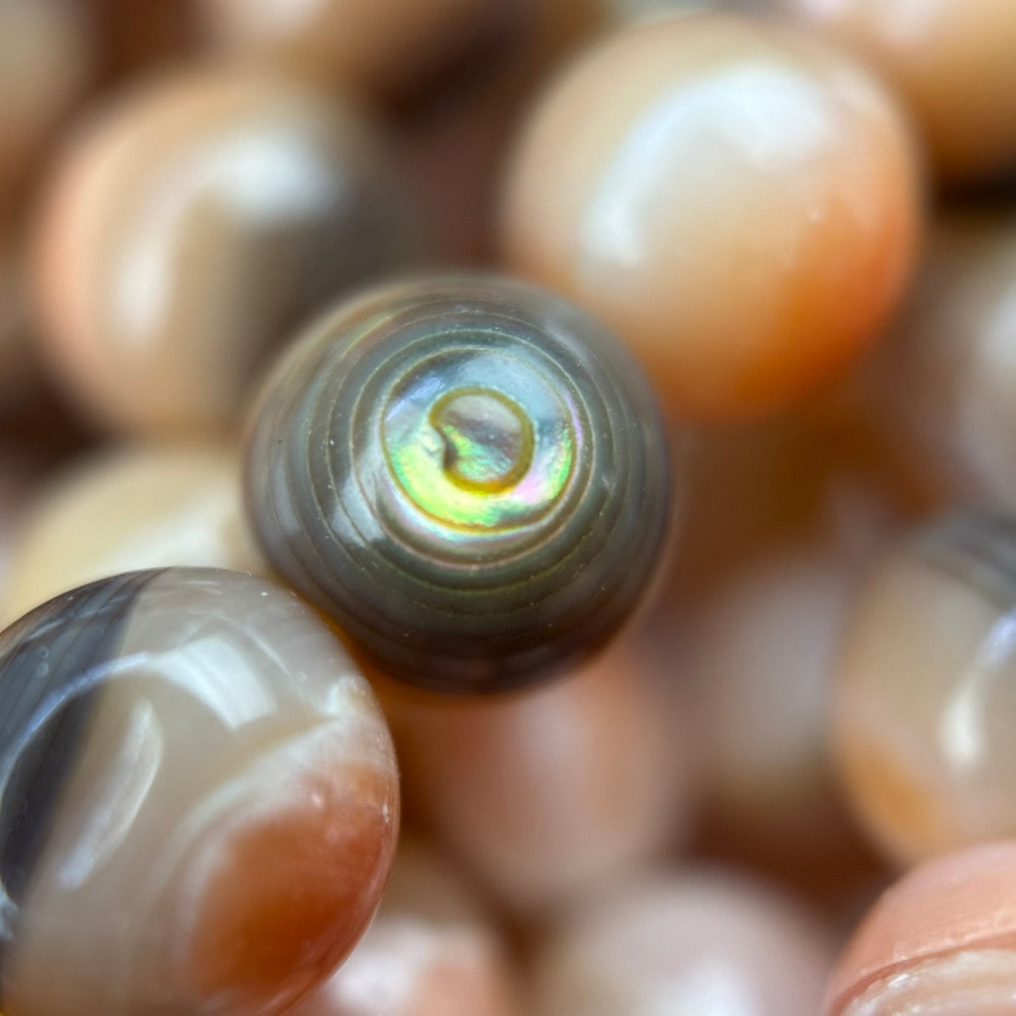 Orange Rainbow Shell Mother Of Pearl Polished Round Beads