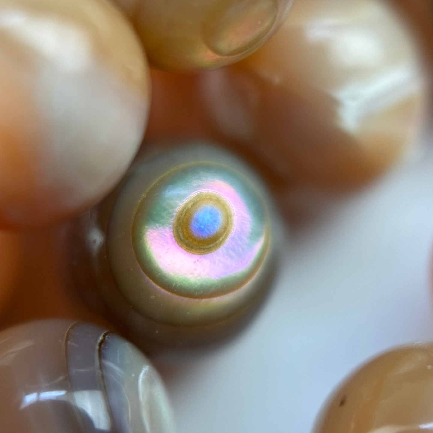 Orange Rainbow Shell Mother Of Pearl Polished Round Beads