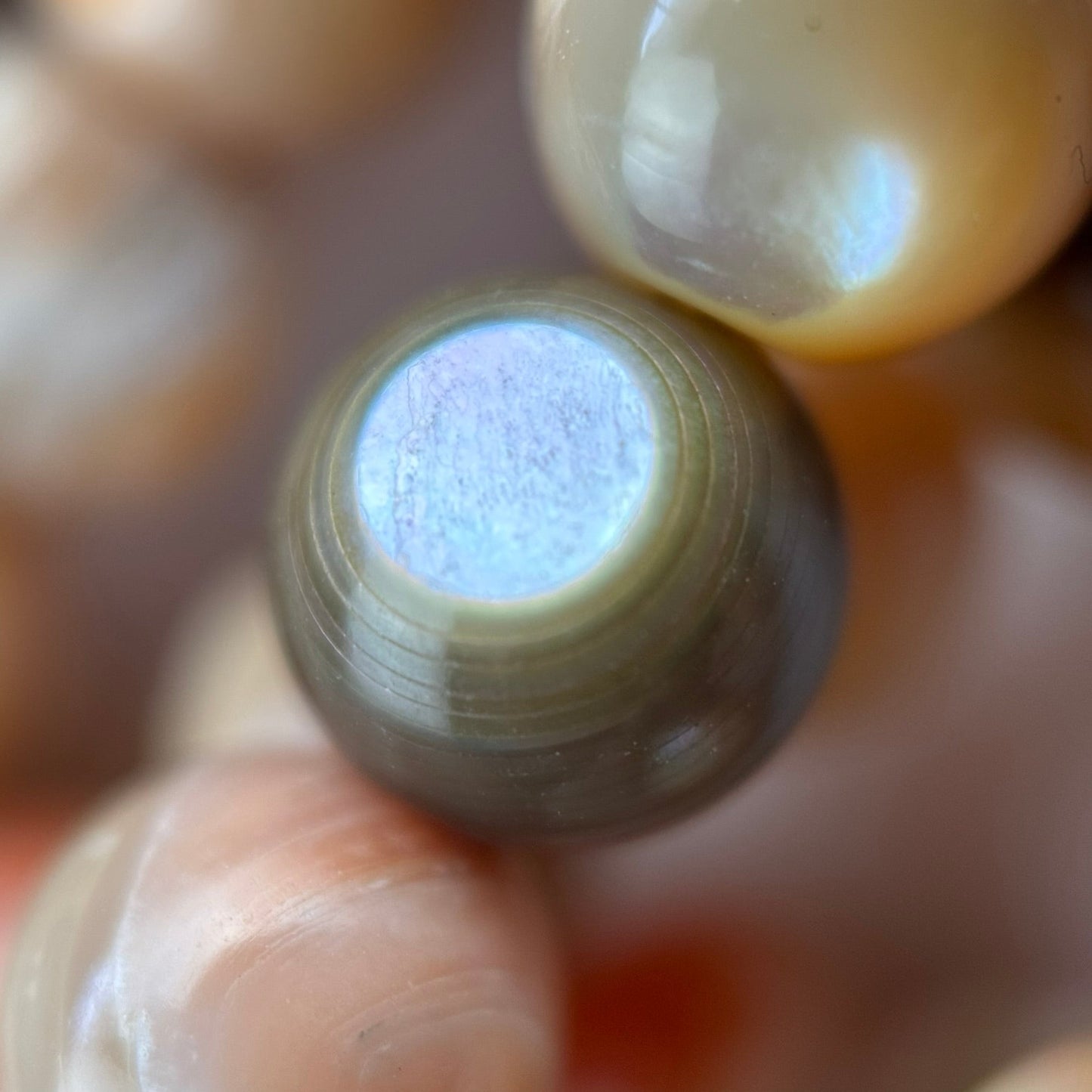 Orange Rainbow Shell Mother Of Pearl Polished Round Beads