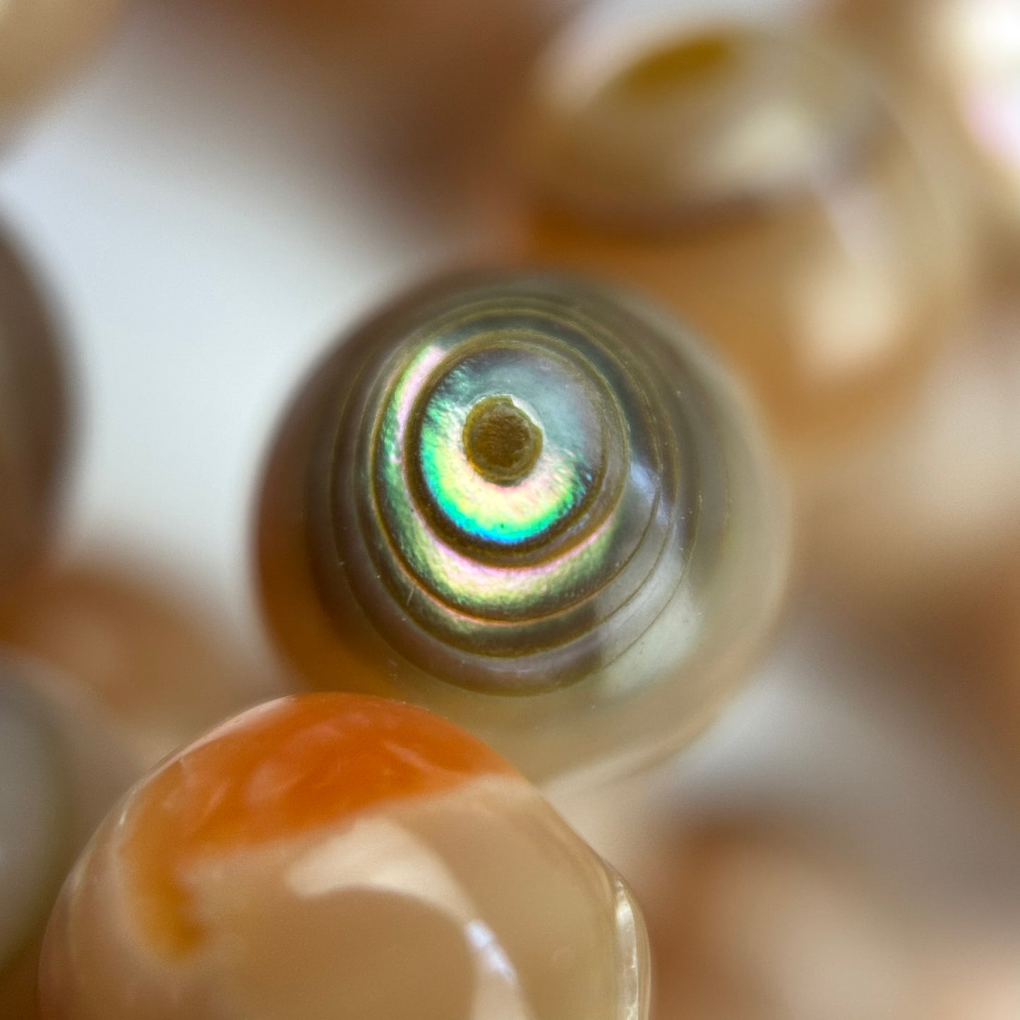 Orange Rainbow Shell Mother Of Pearl Polished Round Beads