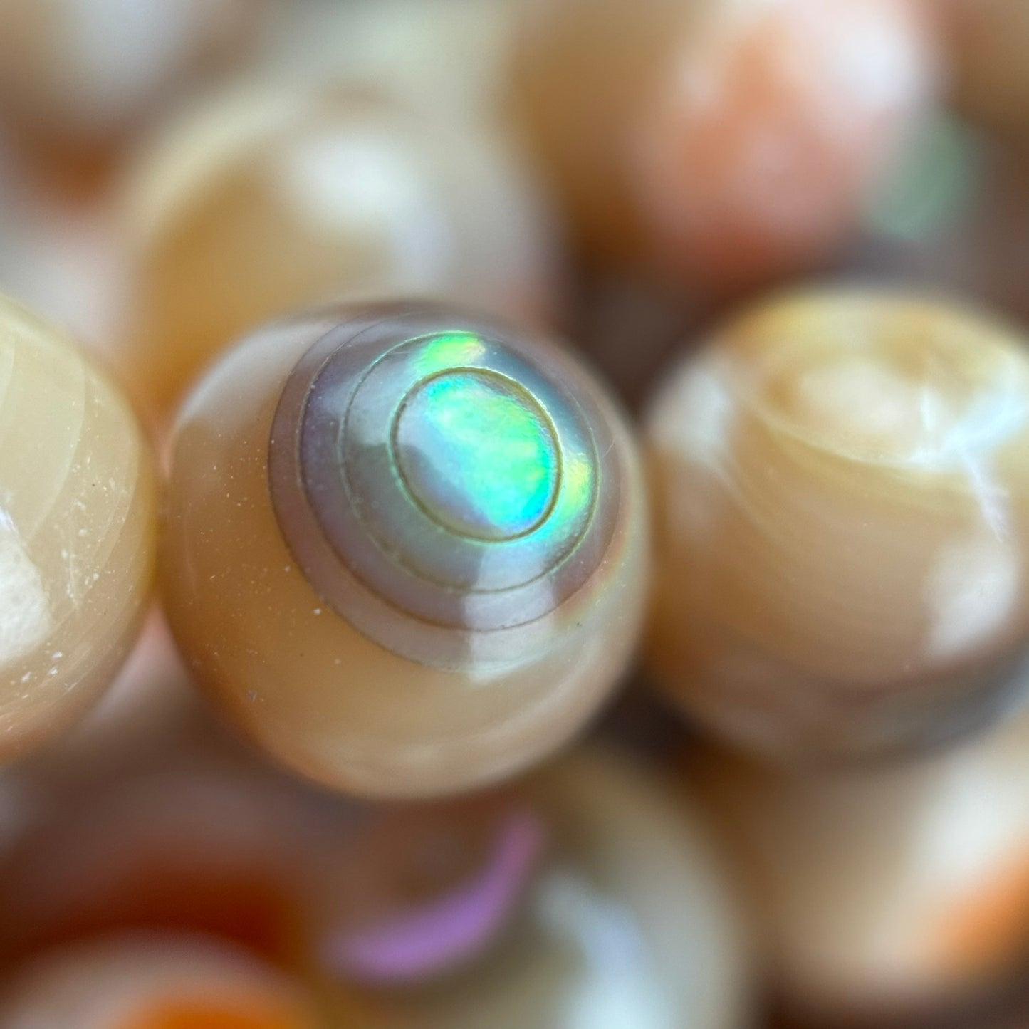 Orange Rainbow Shell Mother Of Pearl Polished Round Beads