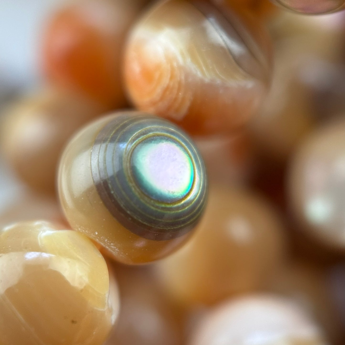 Orange Rainbow Shell Mother Of Pearl Polished Round Beads