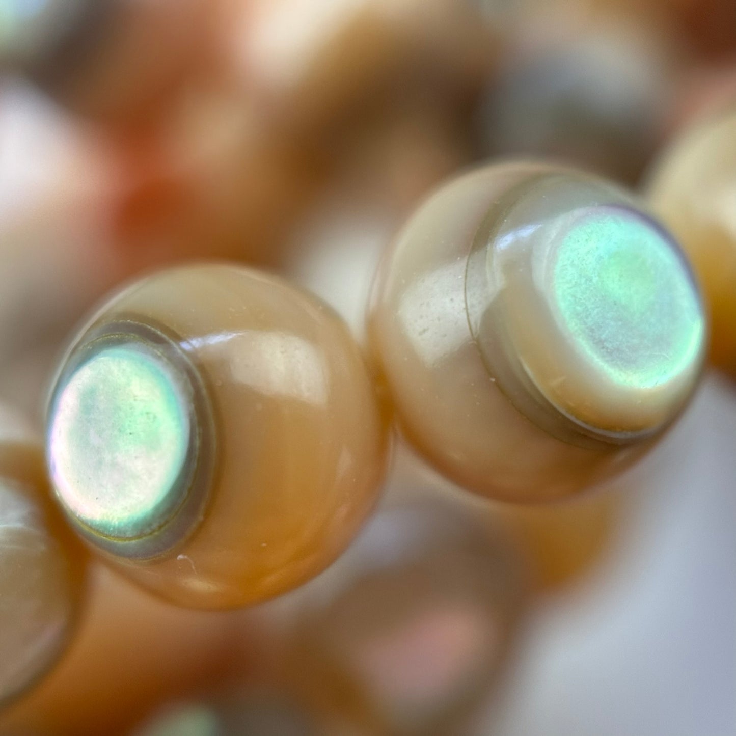 Orange Rainbow Shell Mother Of Pearl Polished Round Beads