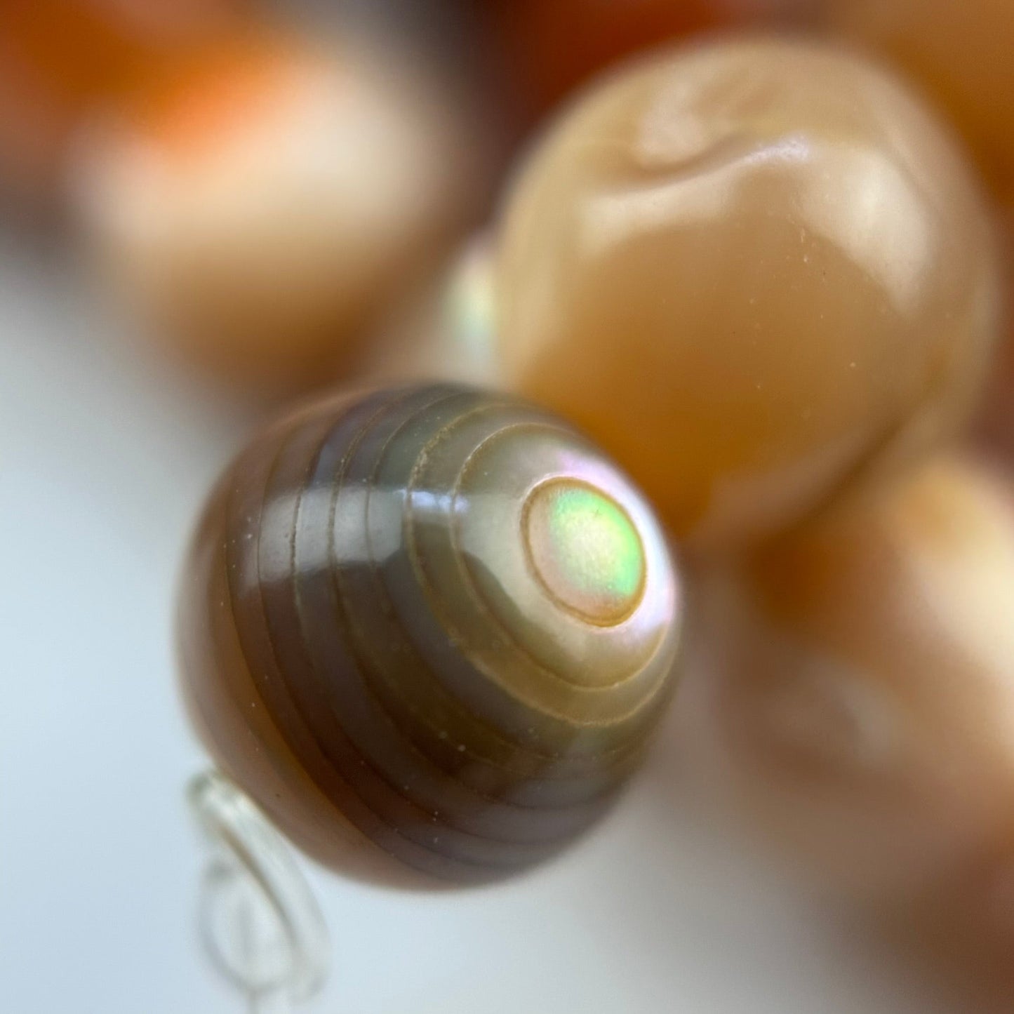 Orange Rainbow Shell Mother Of Pearl Polished Round Beads