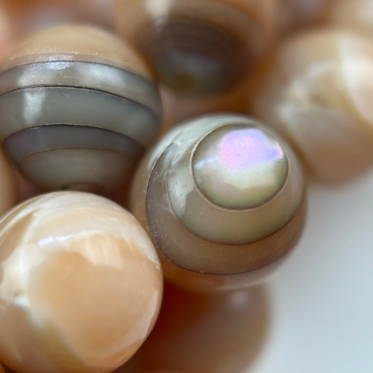 Orange Rainbow Shell Mother Of Pearl Polished Round Beads