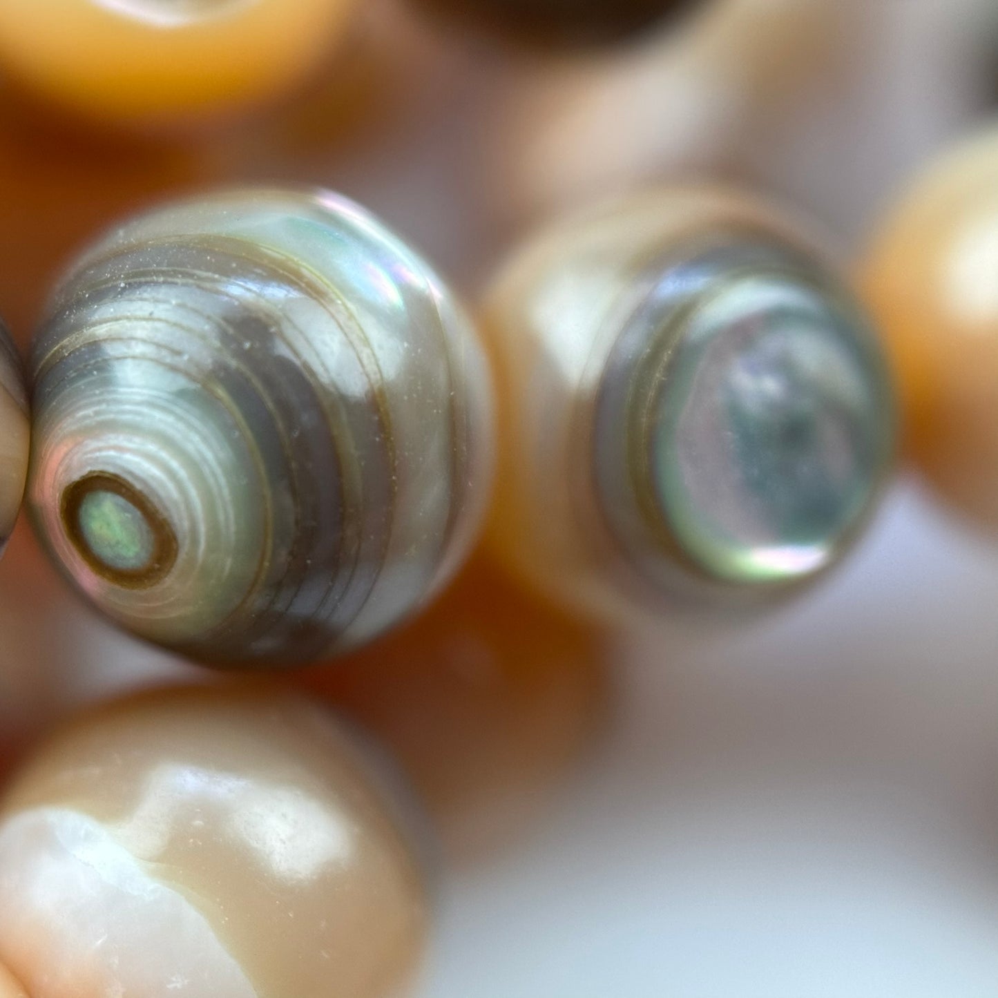 Orange Rainbow Shell Mother Of Pearl Polished Round Beads