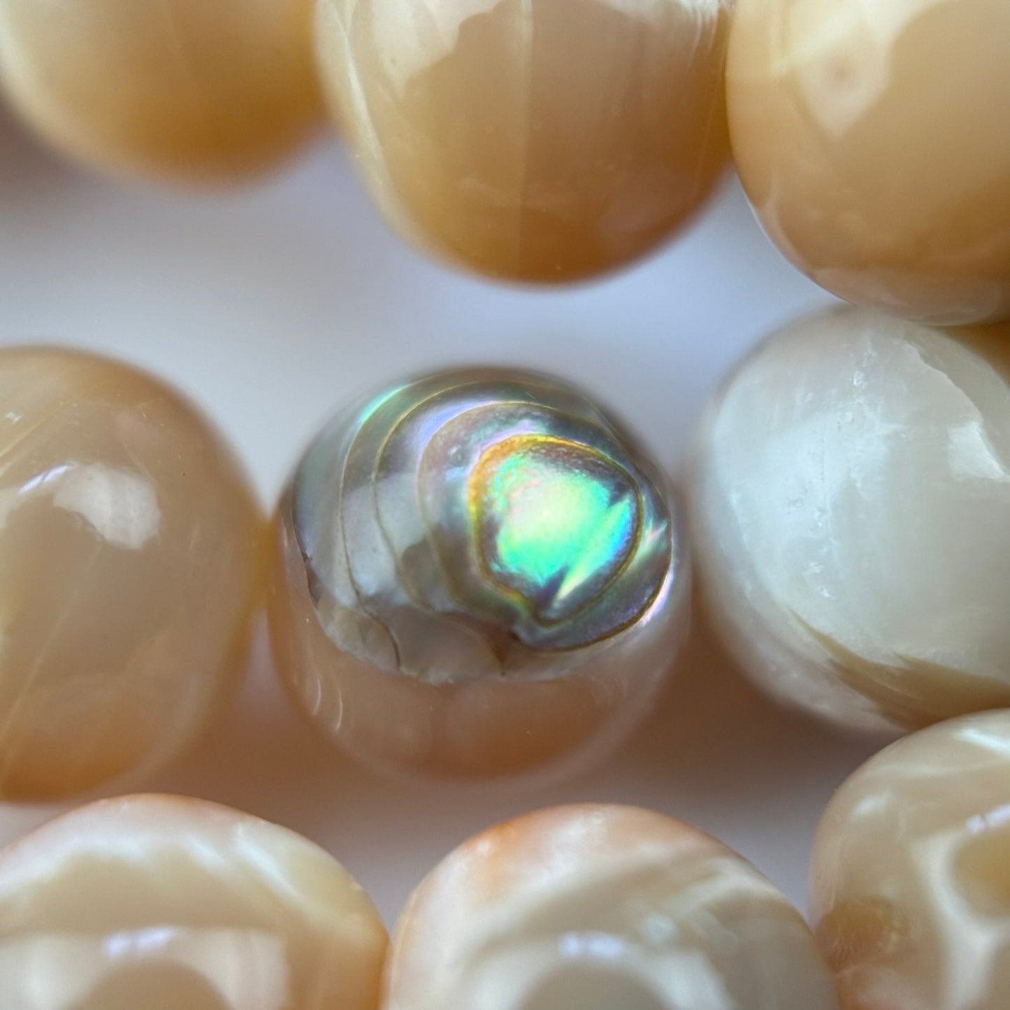 Orange Rainbow Shell Mother Of Pearl Polished Round Beads