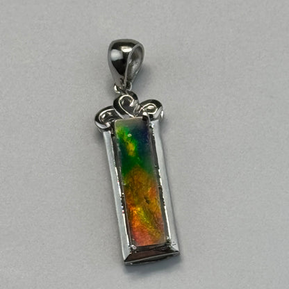 Canadian Ammolite Pendant Set in Sterling Silver 925