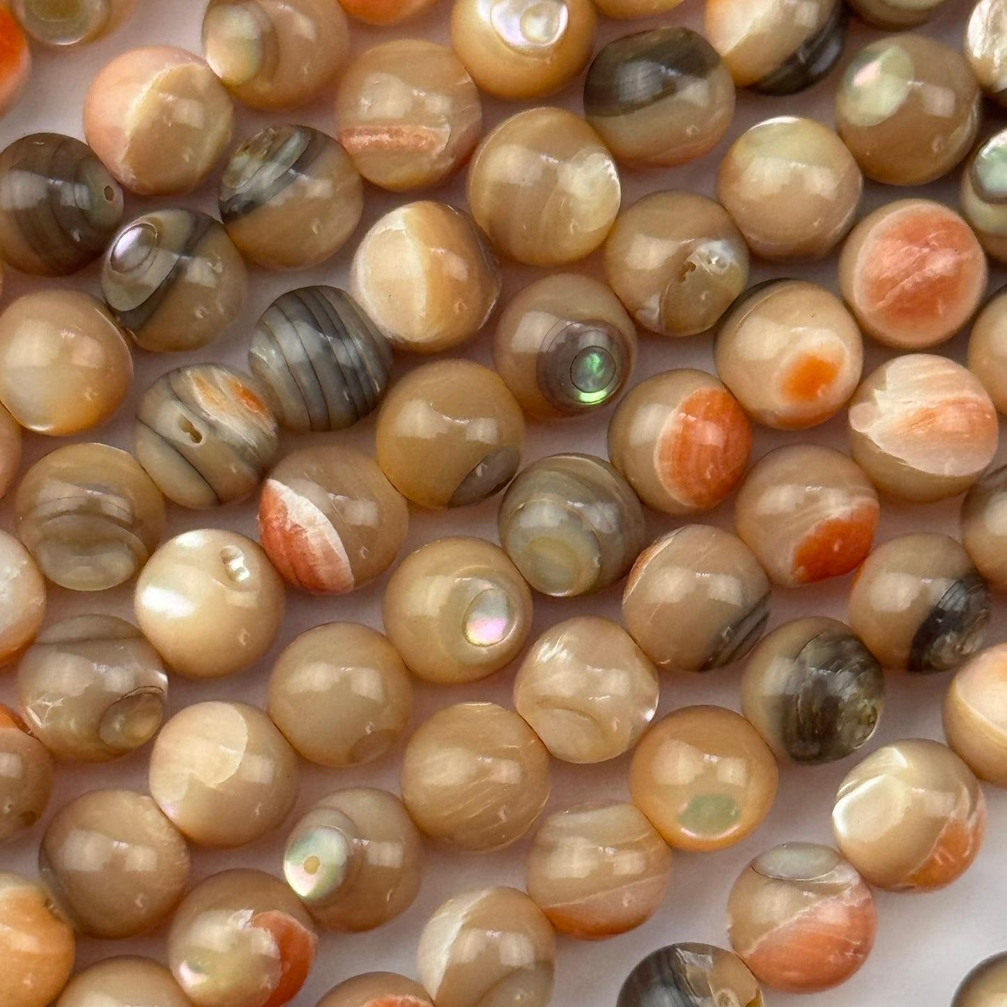Orange Rainbow Shell Mother Of Pearl Polished Round Beads