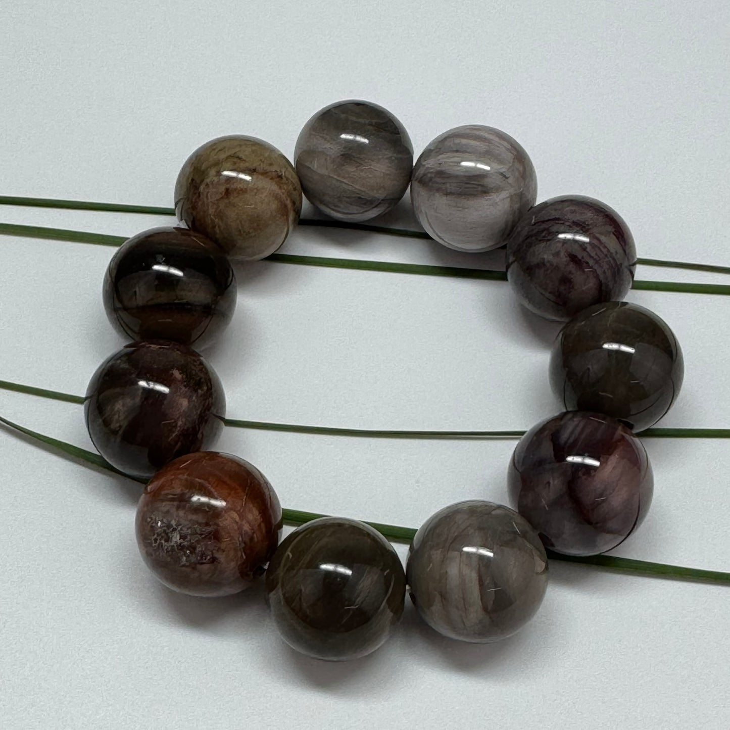 Bracelet: Petrified Wood Bracelet