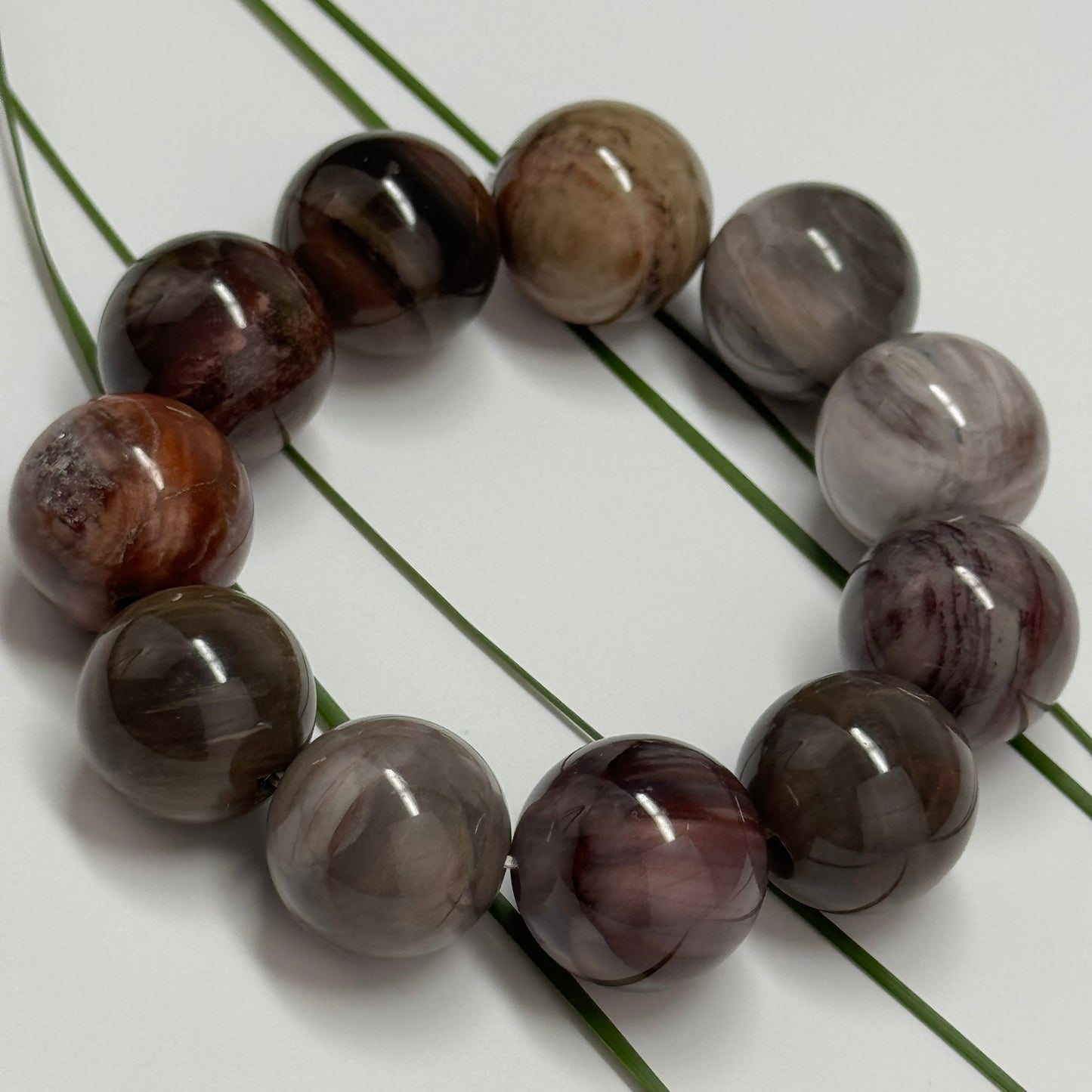 Bracelet: Petrified Wood Bracelet