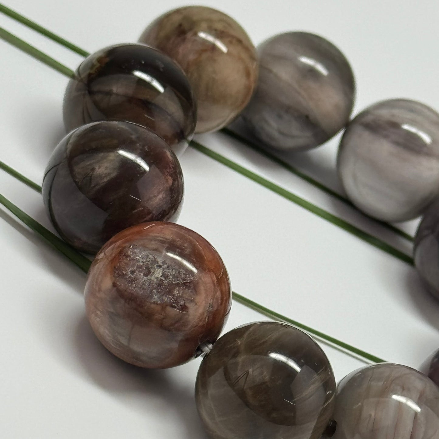 Bracelet: Petrified Wood Bracelet